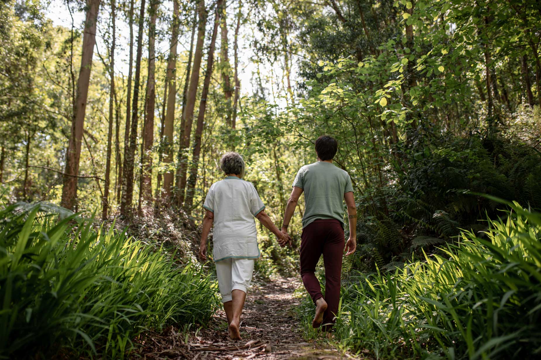 dos personas de la mano caminando por el bosque